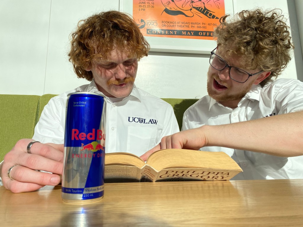 LAWS110 Essay 2&nbsp;Workshop